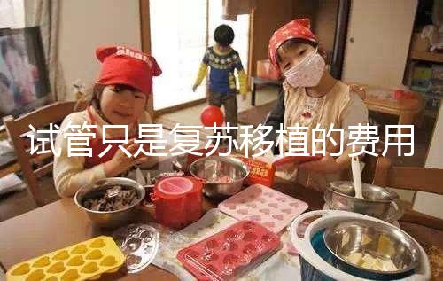 試管只是復蘇移植的費用并不高,看這就知道大概多少錢