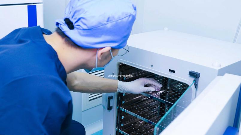 試管嬰兒的費(fèi)用包括哪些(試管嬰兒的費(fèi)用包括哪些項(xiàng)目)