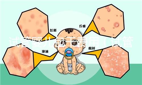 試管嬰兒包干費用(試管嬰兒包干費用多少)