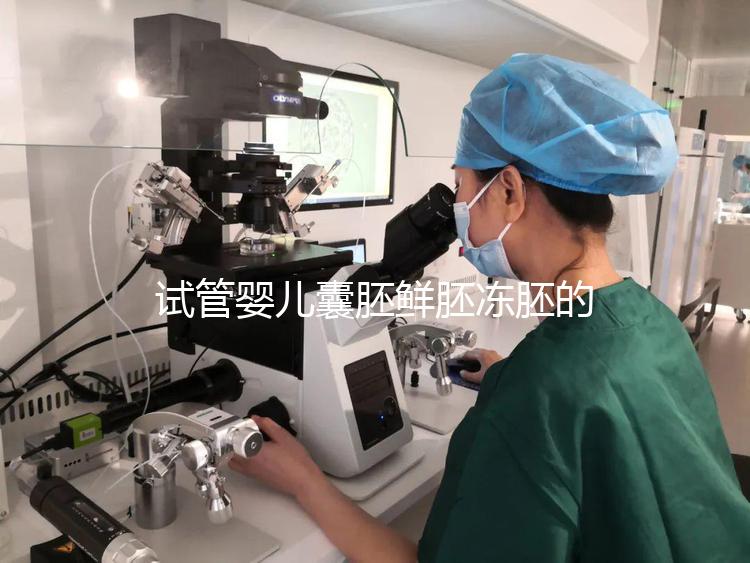 試管嬰兒囊胚鮮胚凍胚的區(qū)別是什么？鮮胚移植VS凍胚移植，哪個(gè)成功率高？