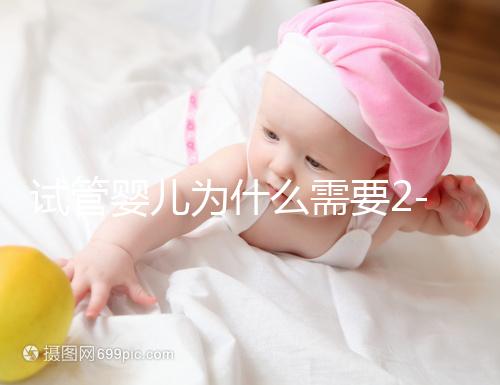 試管嬰兒為什么需要2-3個月？揭秘時間背后的科學奧秘