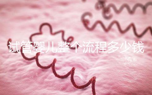 試管嬰兒整個(gè)流程多少錢(試管嬰兒整個(gè)流程多少錢啊)