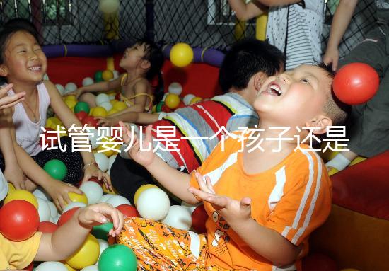 試管嬰兒是一個(gè)孩子還是雙胞胎(試管嬰兒是一個(gè)孩子還是雙胞胎呢)