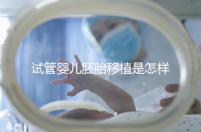 試管嬰兒胚胎移植是怎樣的過程？