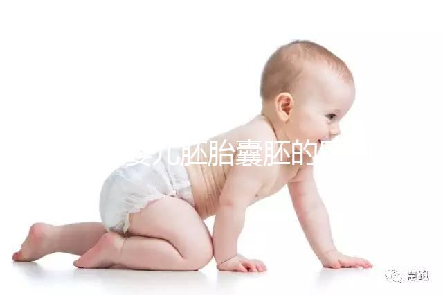 試管嬰兒胚胎囊胚的區別，成功率哪個高