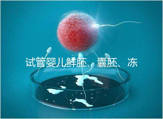 試管嬰兒鮮胚、囊胚、凍胚那個成功率高?