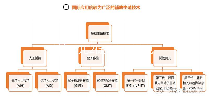 試管嬰兒2促3移,說說5點我的成功懷孕經驗