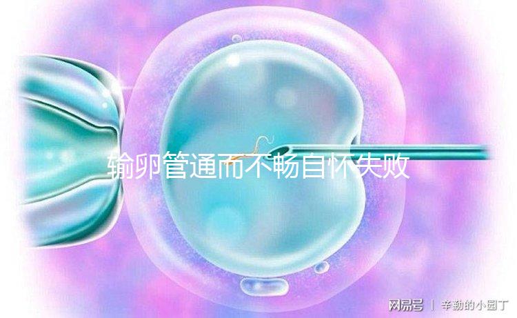 輸卵管通而不暢自懷失敗!37歲高齡做試管嬰兒成功“好孕”