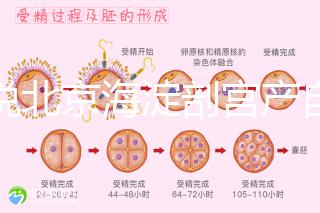 誰說北京海淀剖宮產自付費用高，了解2024年生育保險報銷比例？