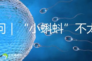 追問|“小蝌蚪”不太給力,一代二代試管嬰兒技術(shù)哪個強(qiáng)?