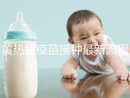 黃熱病疫苗接種最新流程詳解，這八大步驟你需要了解