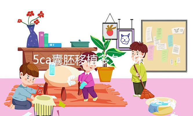 5ca囊胚移植多久著床、有何反應答案來了，第8天白板要警惕