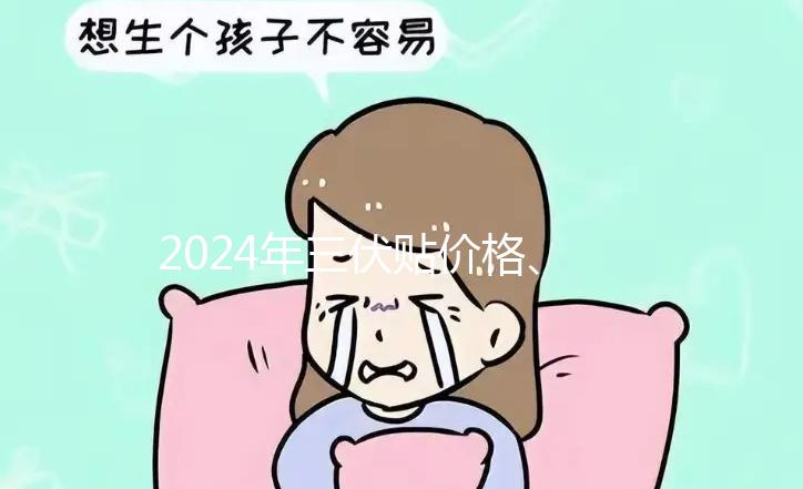 2024年三伏貼價格、品牌、單個療程費用大科普