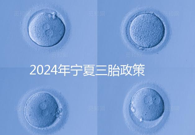 2024年寧夏三胎政策最新規定來襲,附西夏區實施時間