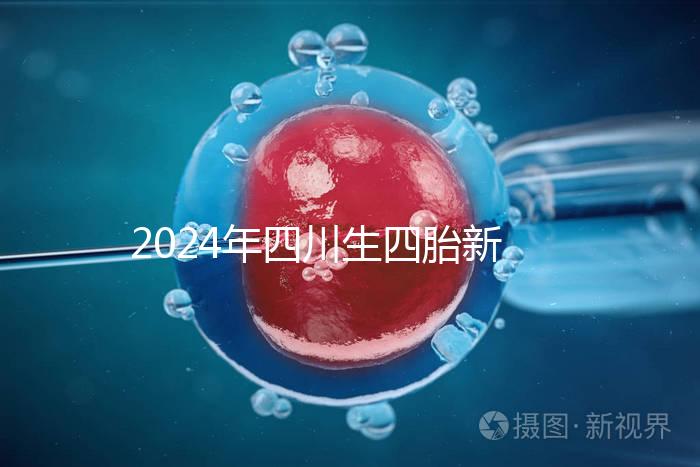 2024年四川生四胎新政策罰款多少分區(qū)，答案在這里自取