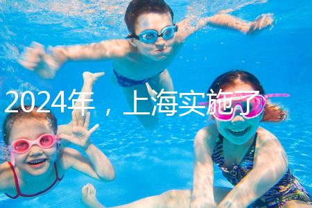 2024年，上海實施了新的生育保險政策，單獨生兩個孩子也可以享受待遇