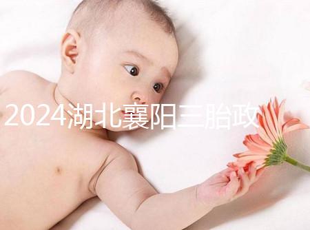 2024湖北襄陽三胎政策最新消息速覽，國家獎勵1萬購房補(bǔ)貼