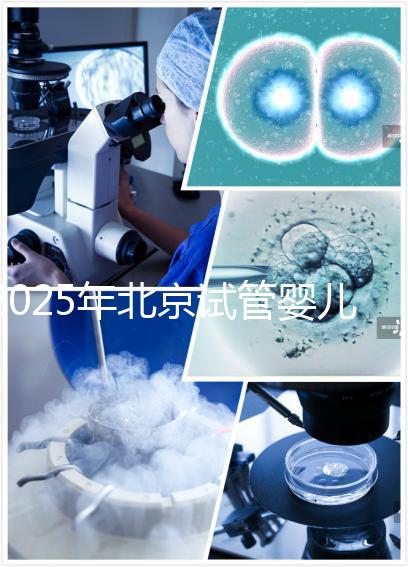 2025年北京試管嬰兒機(jī)構(gòu)哪家強(qiáng)？生育旅程如何開啟？
