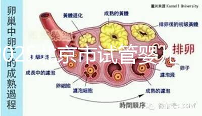 2025北京市試管嬰兒醫院大全,去這幾家做無需提供結婚證